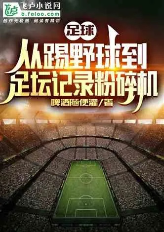 足球网游小说推荐这些作品让你身临其境-第3张图片-www.211178.com_果博福布斯